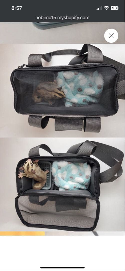 フクロモモンガ　アクリルケージ　飼育に使う諸々16点セット