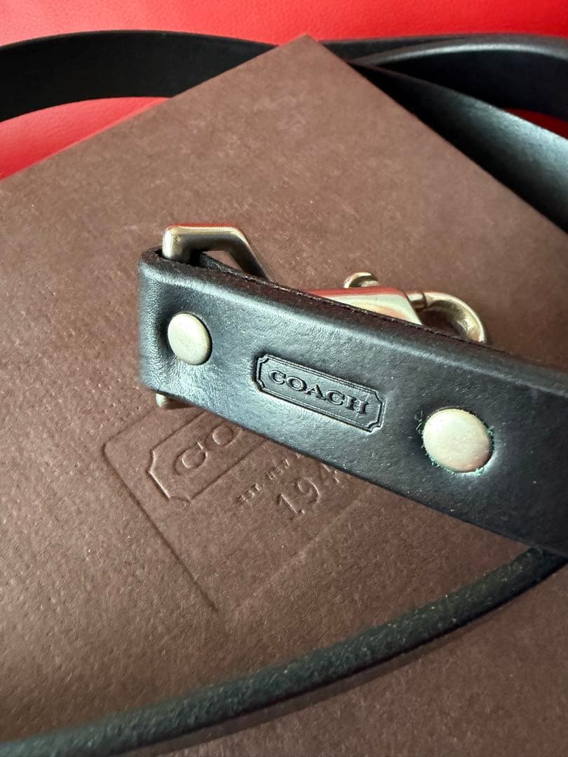 未使用COACHチャーム付犬用首輪&リード