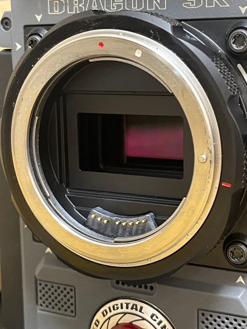 dsmc2 RED DORAGON SCARLET W 5K fx2 等探方にも