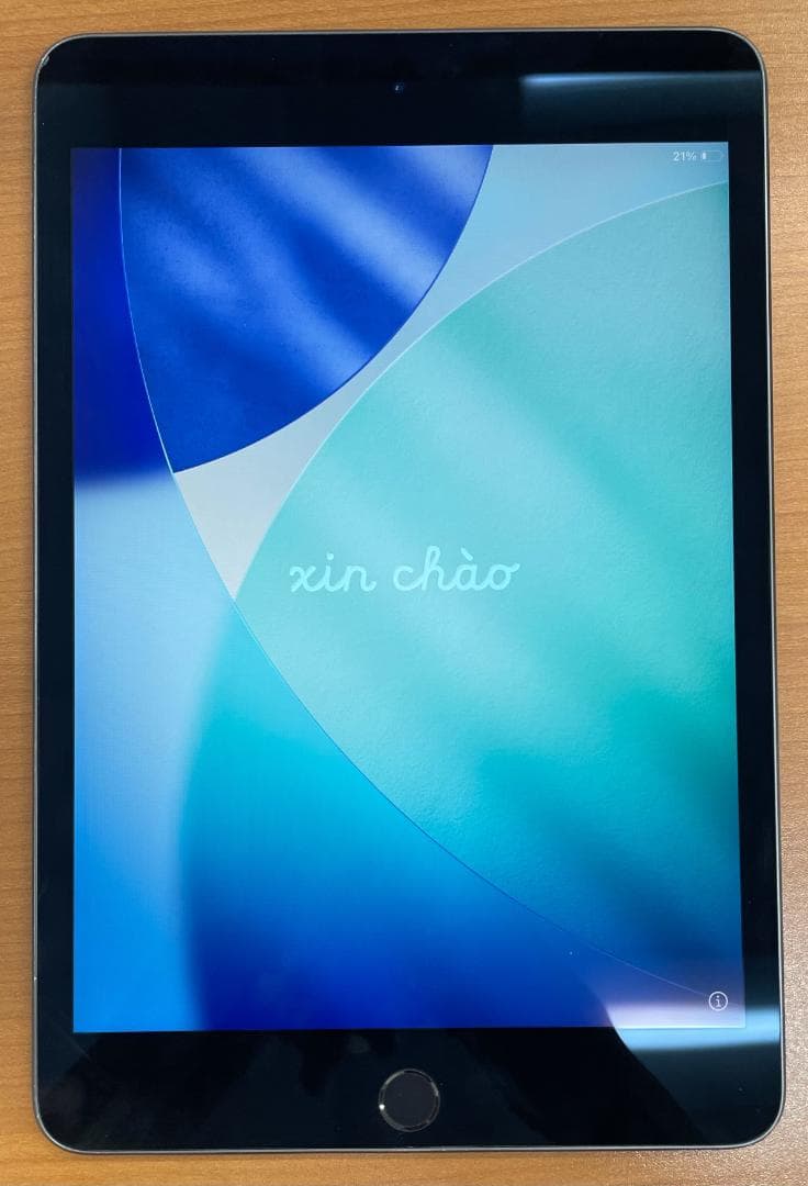 動作確認済み iPad mini 第5世代 64GB ID:K5730