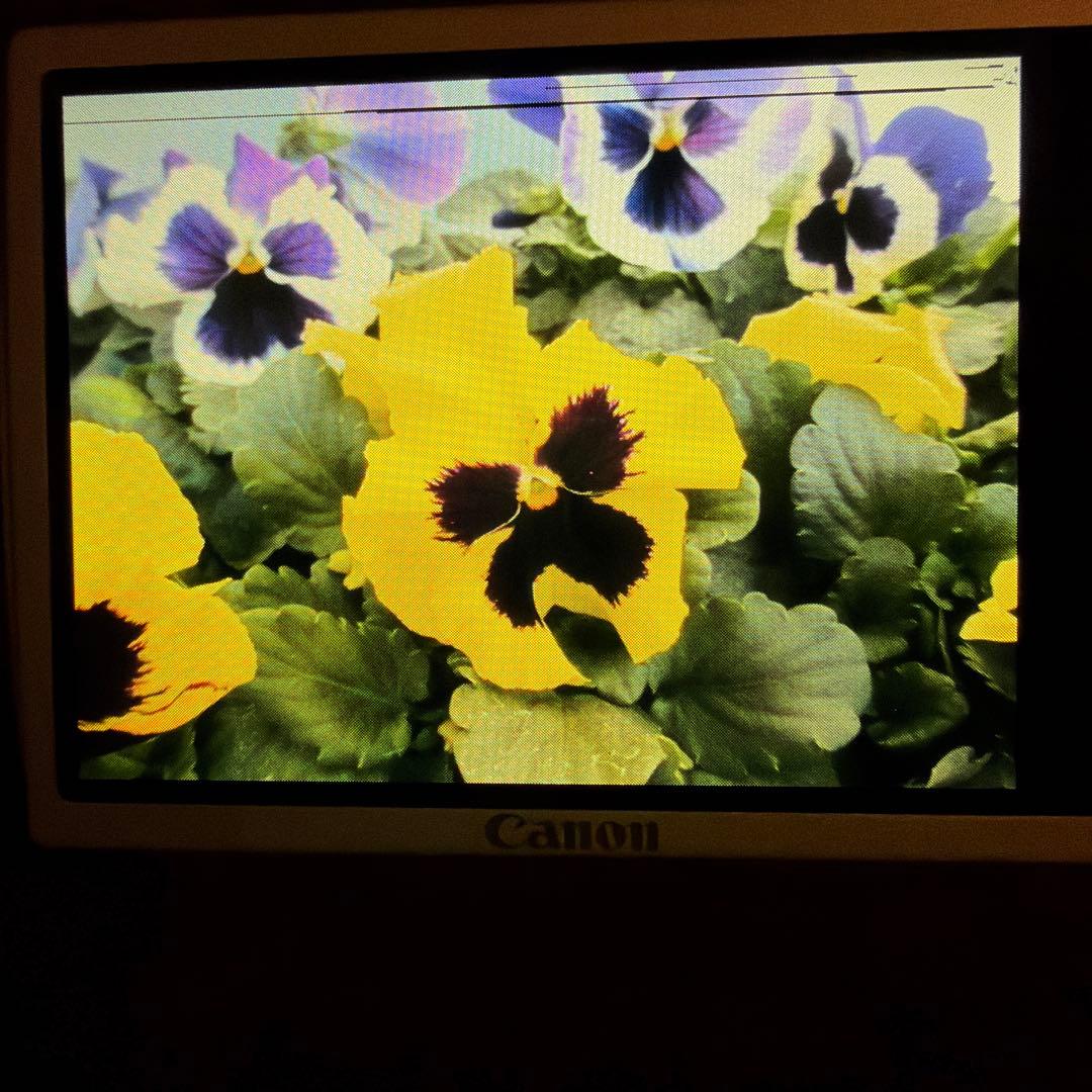 【Canon IXY 600Fデジタルカメラ】シルバー＊付属品複数有