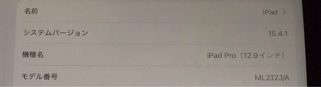 iPad Pro 12.9インチ 第一世代 128GB