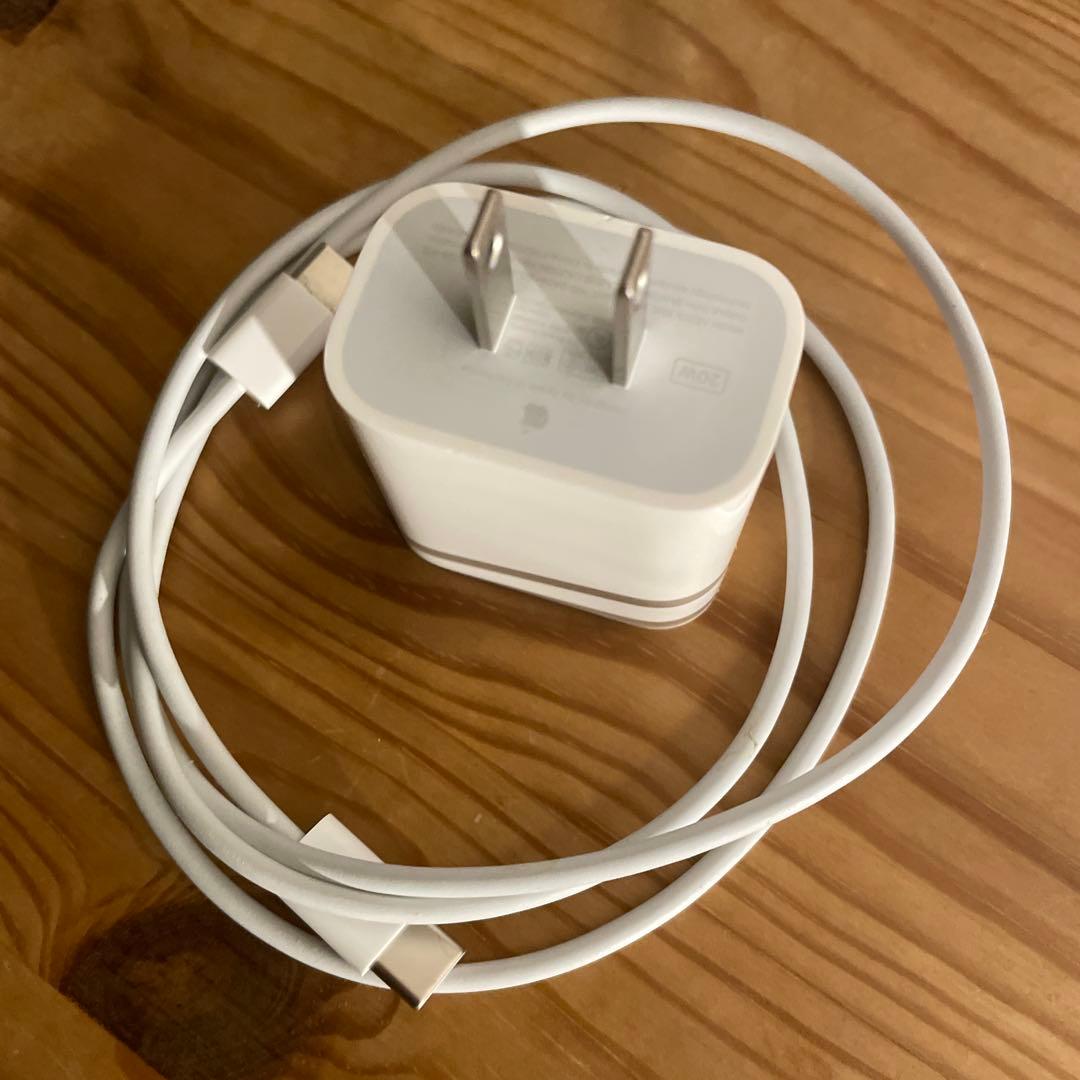 Apple iPad mini 6世代 本体 Apple Pencil付き