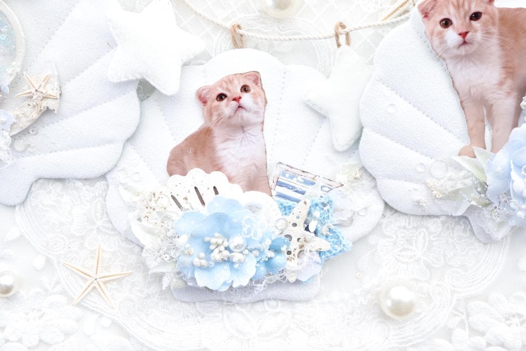 シェルガーランド♡