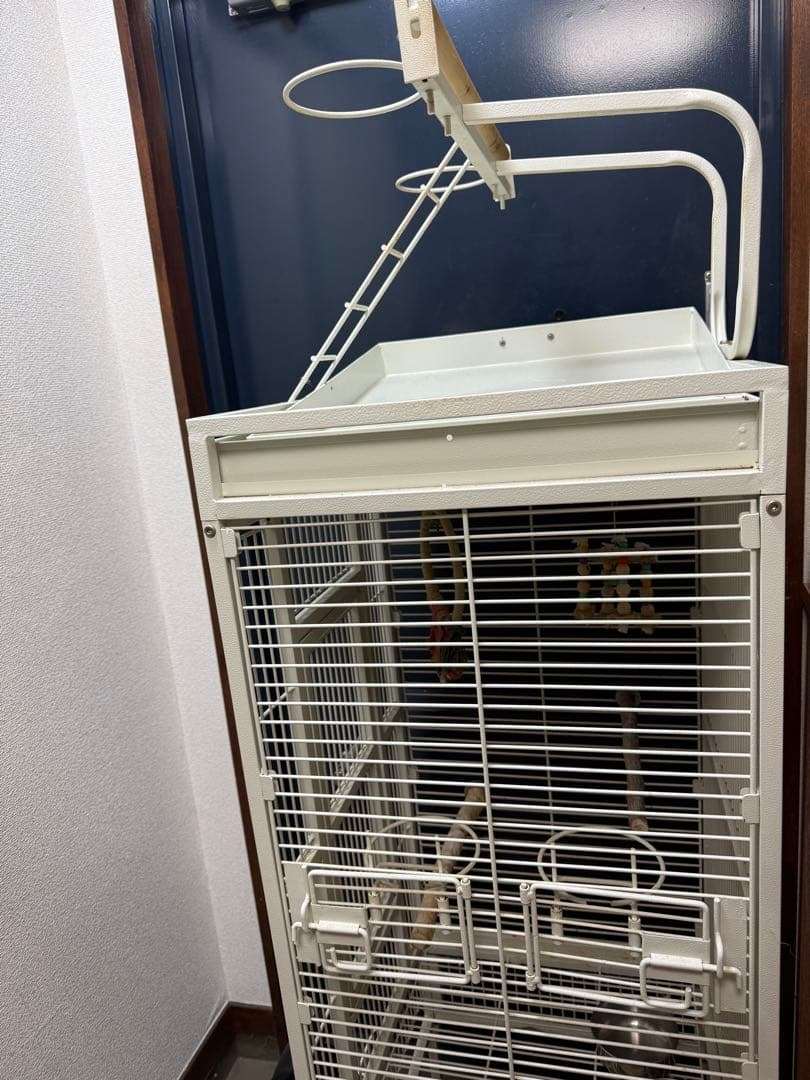 鳥かご大型 [送料込み]