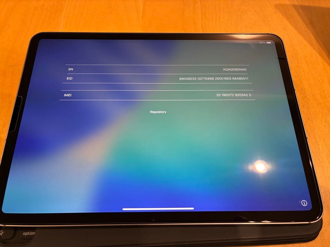 【ちゃっぴ様】iPad Pro 11インチ第4世代（M2） セルラー