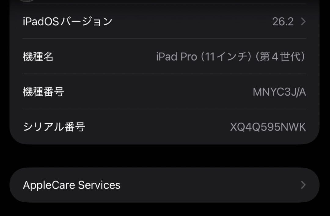 【ちゃっぴ様】iPad Pro 11インチ第4世代（M2） セルラー