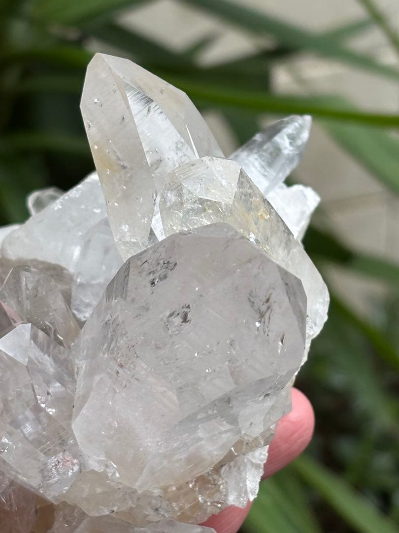 コロンビア　レムリアンクラスター　刺さるような圧巻の透明度　見事　548g.