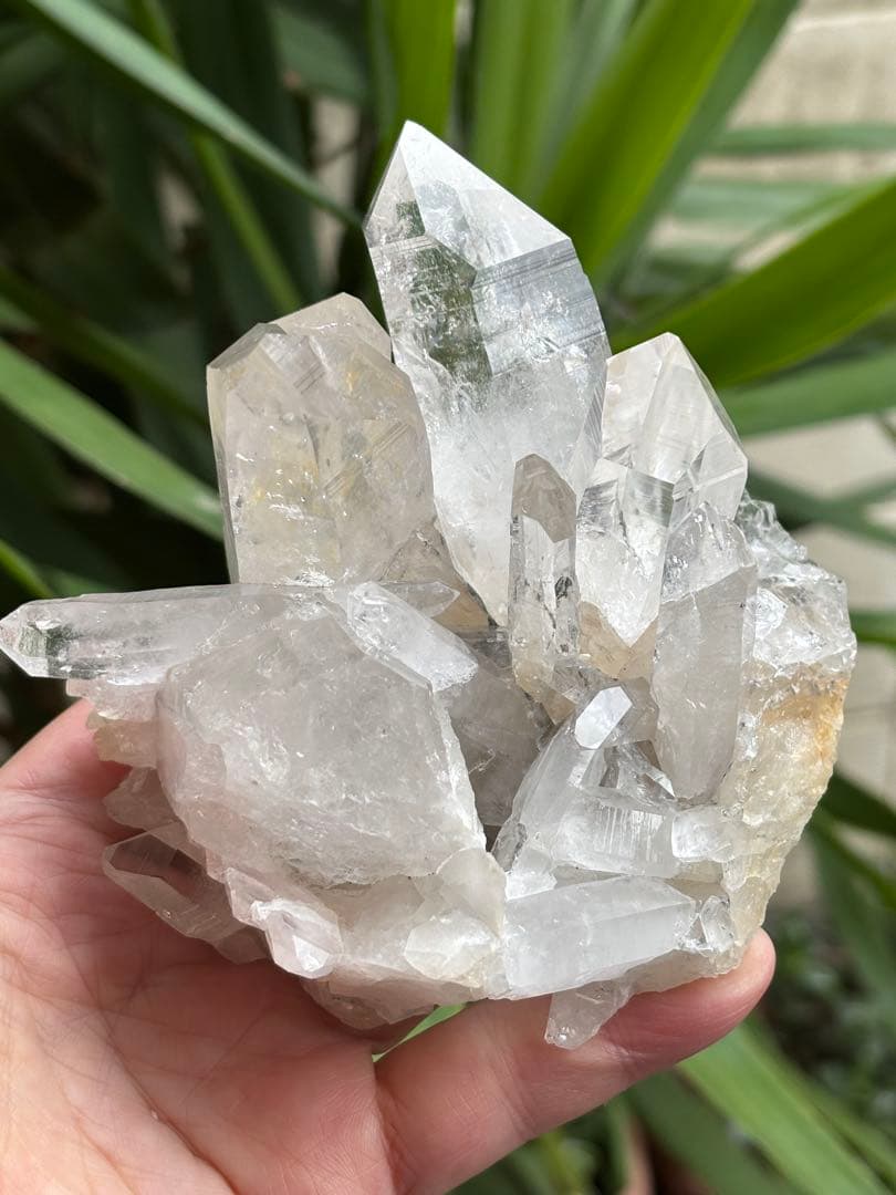 コロンビア　レムリアンクラスター　刺さるような圧巻の透明度　見事　548g.