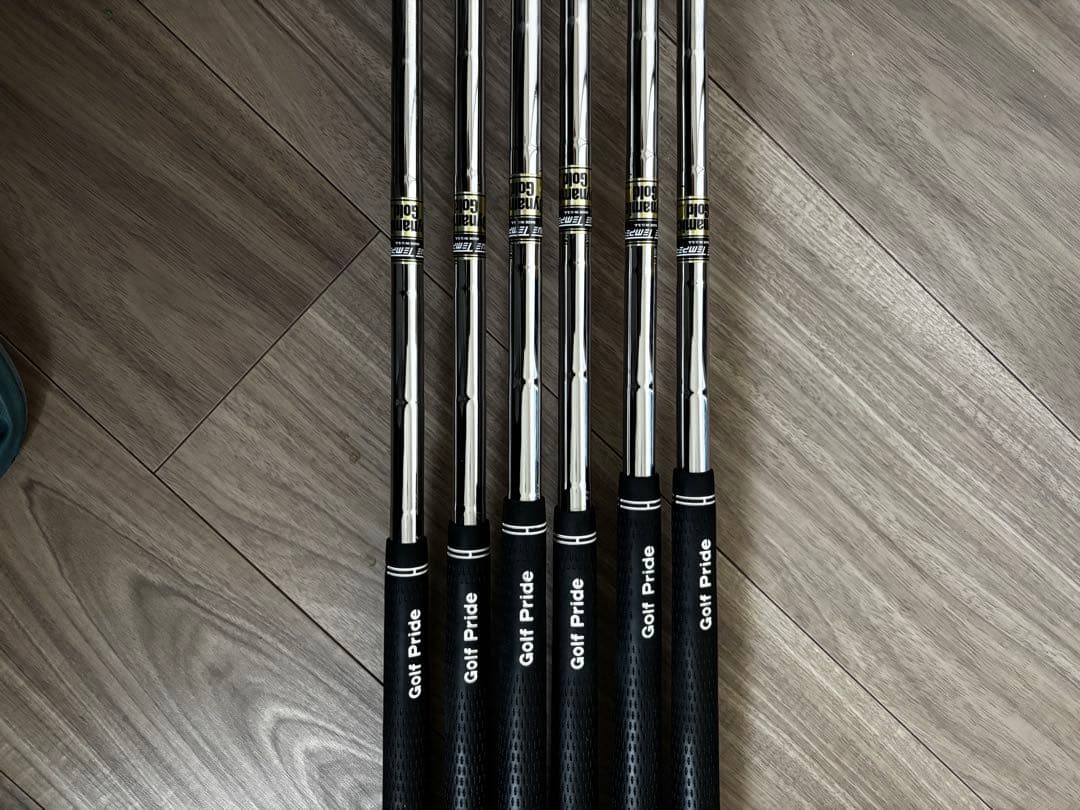 Mizuno Pro 118 5-9 PダイナミックゴールドS200