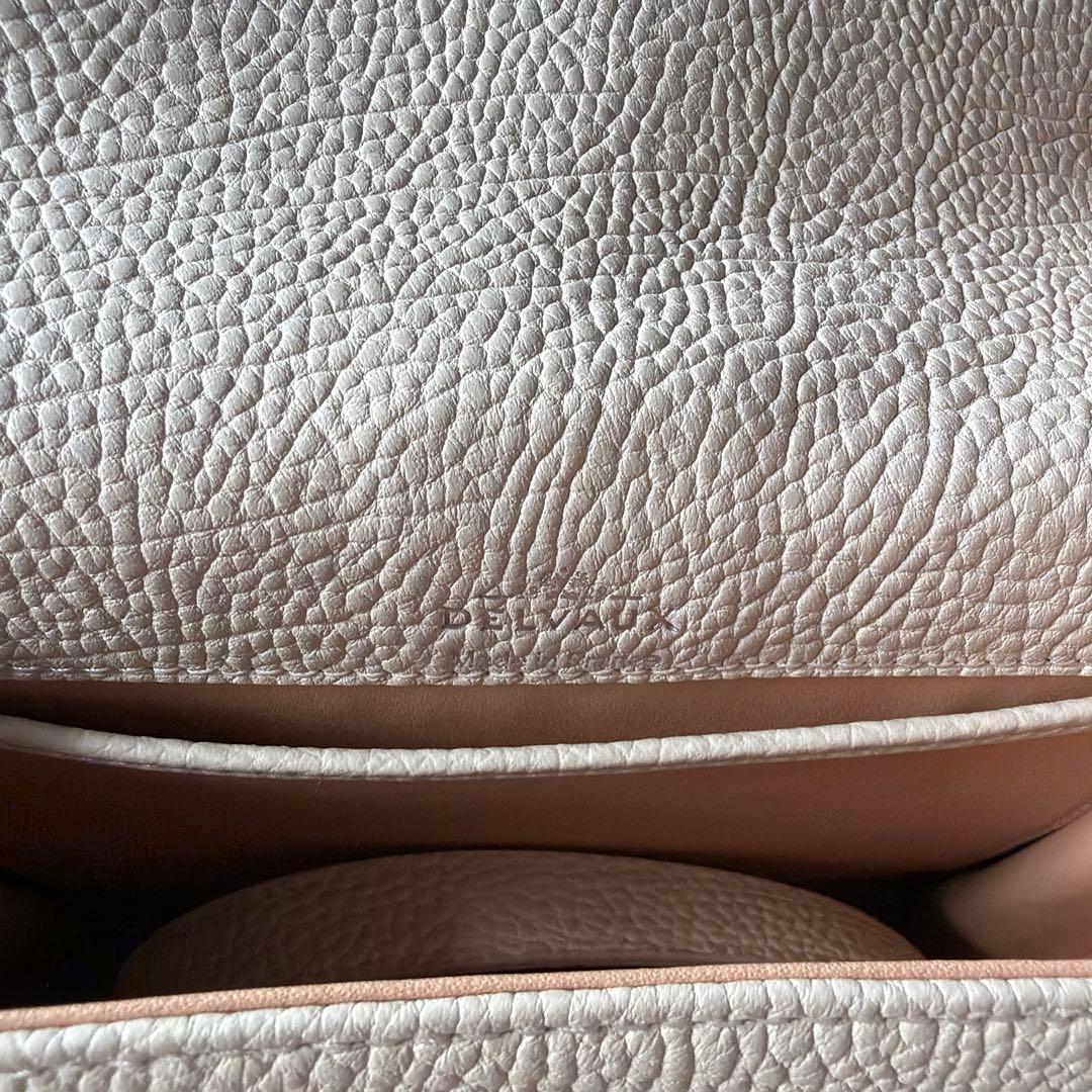 【お決まり】Delvaux デルボー　ハンドバッグ タンペート