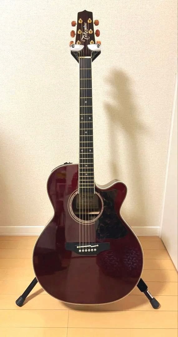 ギター Takamine DMP50S WR