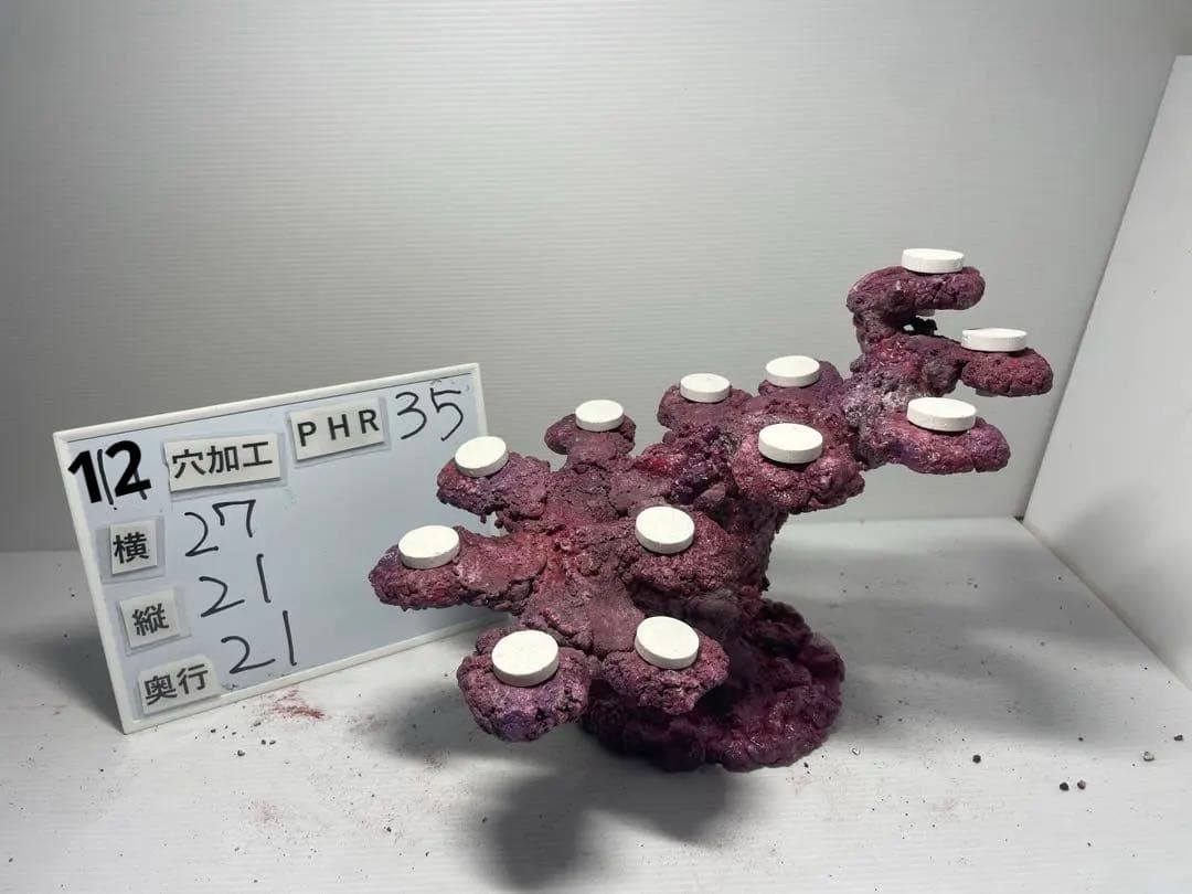 【送料無料】人工ライブロック　PHR35／12穴加工　アク抜き済み安心塗料使用