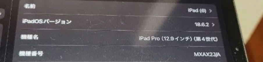 Apple iPad Pro (12.9インチ, 第4世代) 1TB