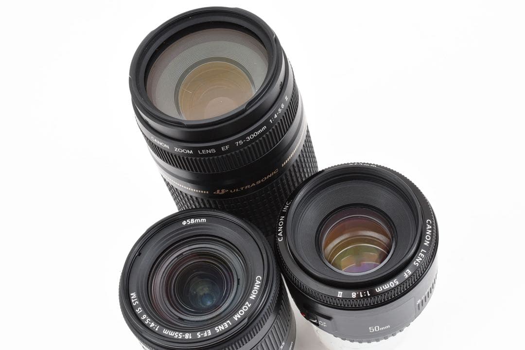 3250万画素CANON EOS 90D標準&望遠&単焦点トリプルレンズセット