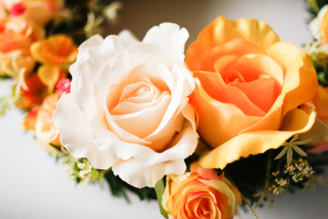 レンズ(単焦点) CARL ZEISS JENA TESSAR 50mm f2.8 /M42 #2