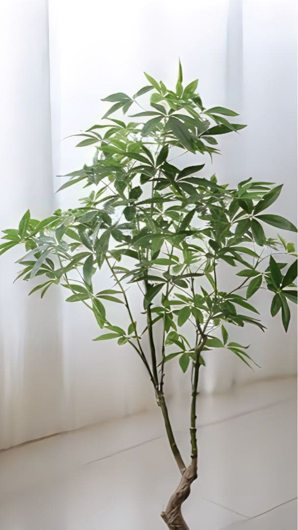 光触媒　人工観葉植物　ウォールグリーン　フェイクグリーン　パキラ18090