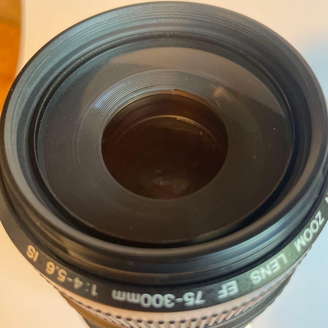 Canon EF 75-300mm f/4-5.6 IS レンズ