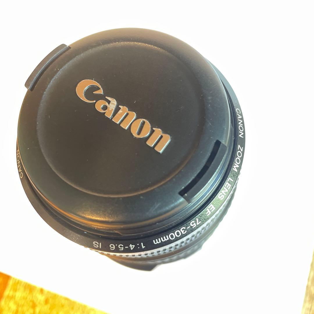 Canon EF 75-300mm f/4-5.6 IS レンズ