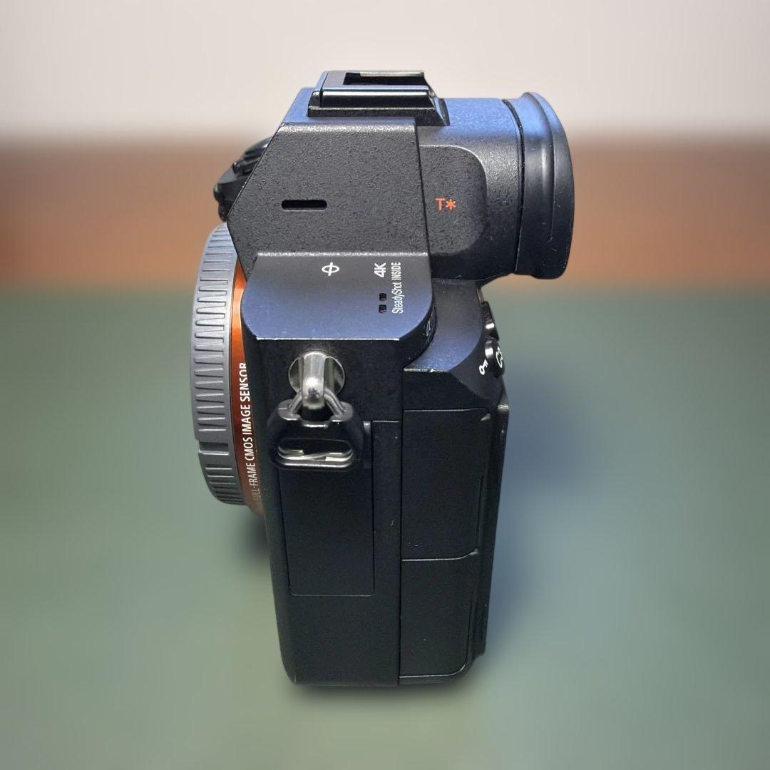 撮影枚数2854枚 SONY α7Ⅲ