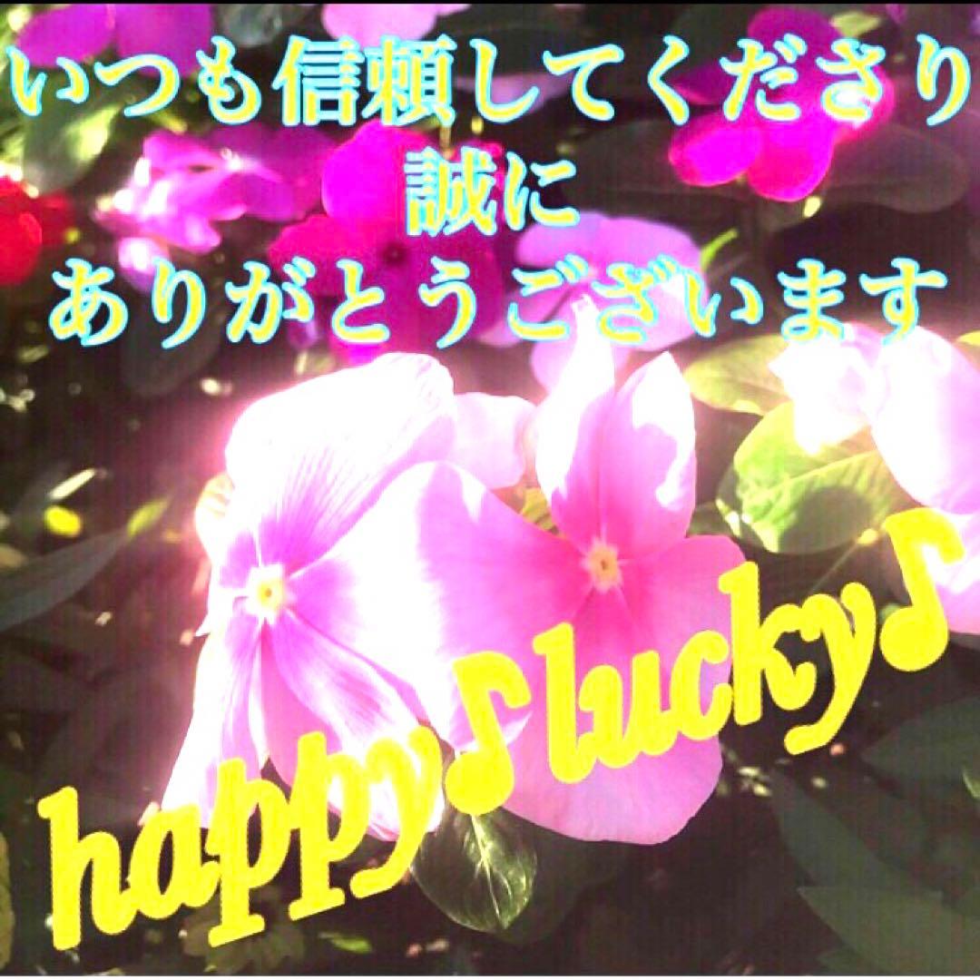 秘符(こうちゃん)会社　御縁　入社　試験合格　平常心　護符　霊符　お守り