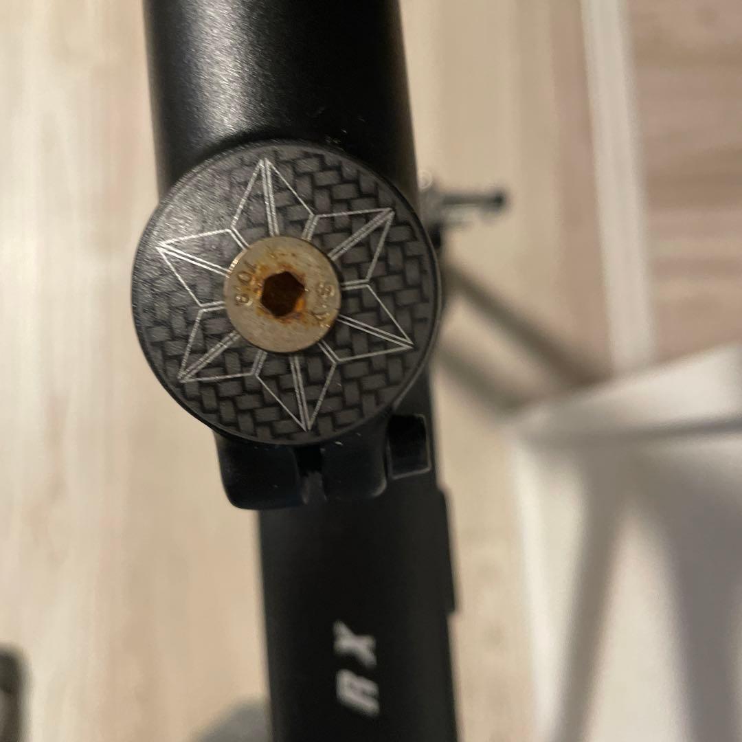 ジャイアント　エスケープ　フレーム　RX3 2021年　モデル　Lサイズ