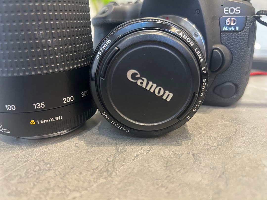 フルサイズ対応EF 75-300mmレンズ、50mm単焦点レンズの2個セット