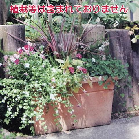 テラコッタ プランター 71x36x34cm