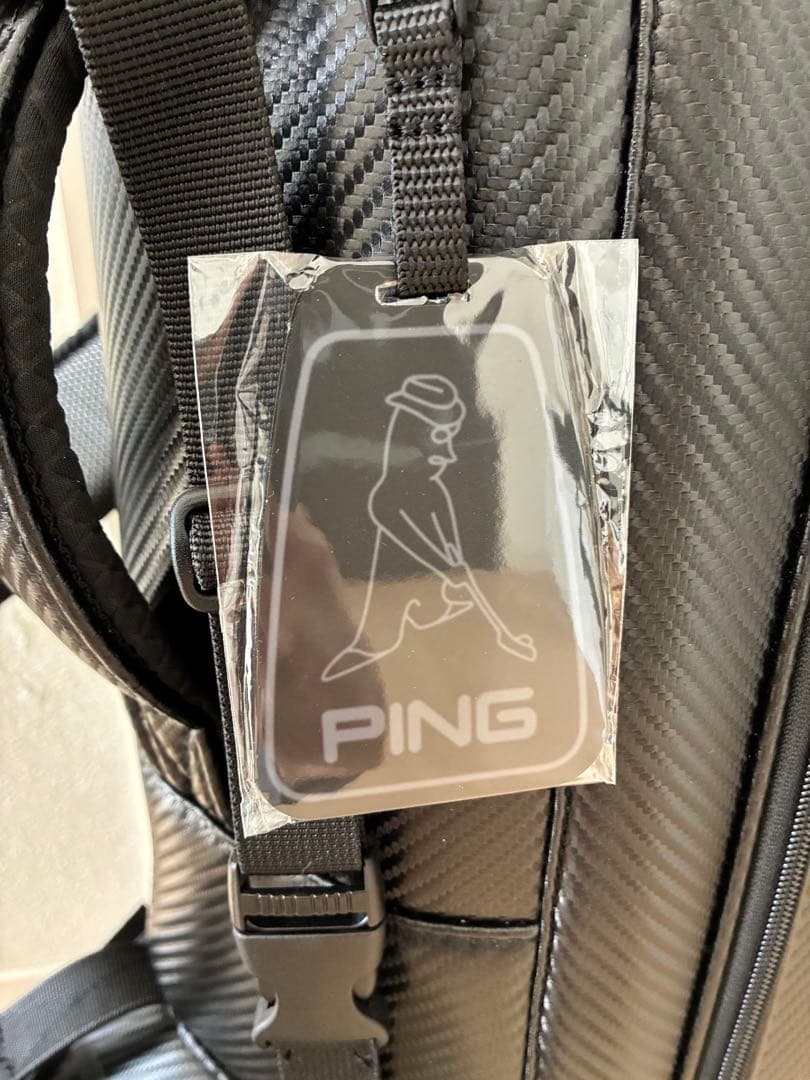 ＂超美品＂ピン　フーファーツアー　スタンドバッグ