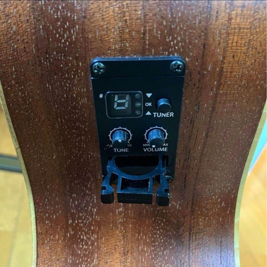 Taylor アコースティックギター ギターケース付き