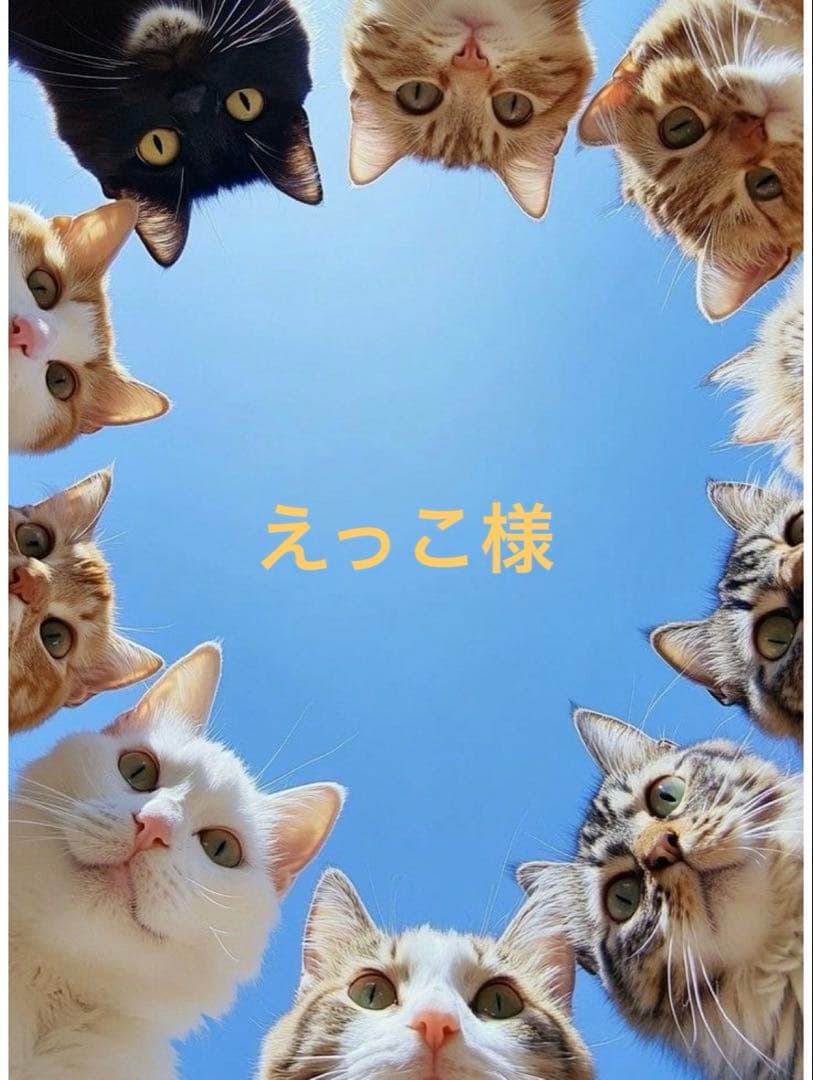えっこ様·͜·ᰔᩚ3roomコロンコロンバッグ他 虹猫本舗ꔛ‬ෆコヤンイサムチョン