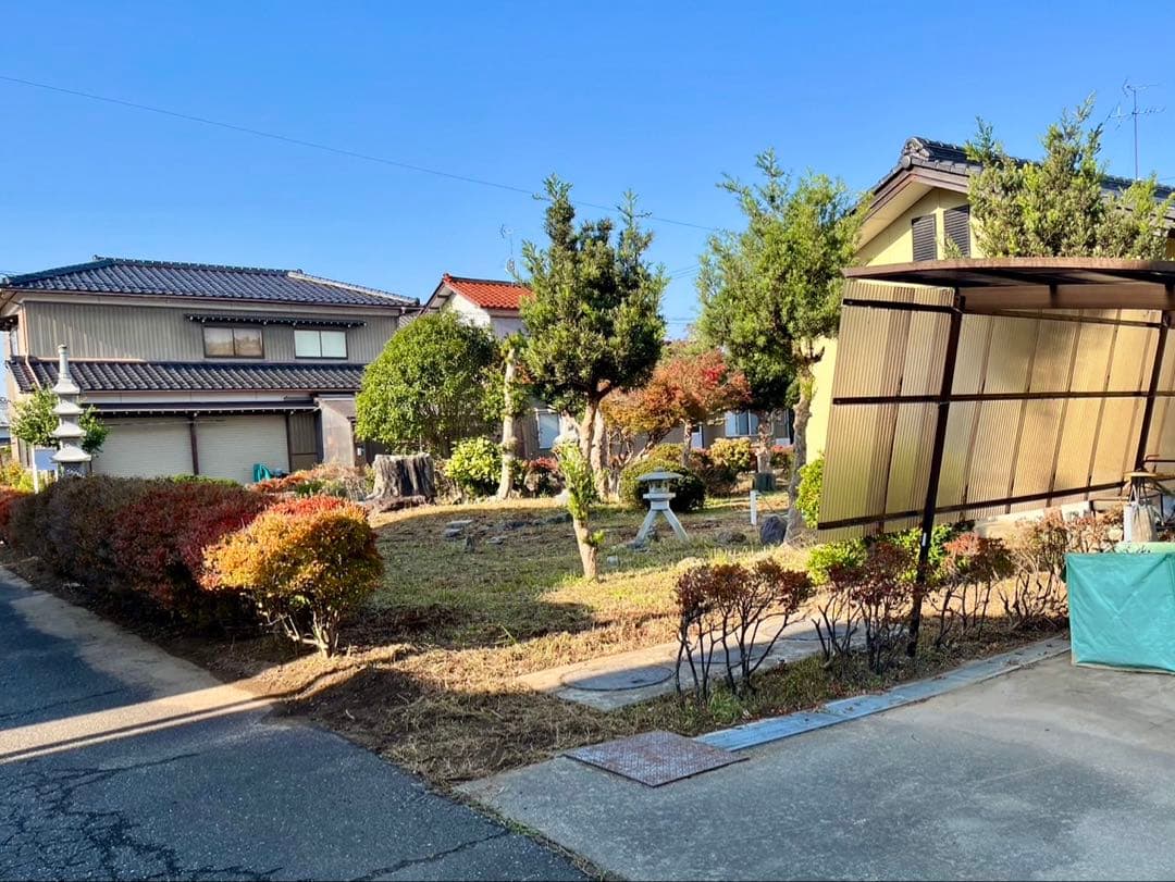 ドウダンツツジ 生垣 バラ売り可【石川県引き取り限定】まとめ割