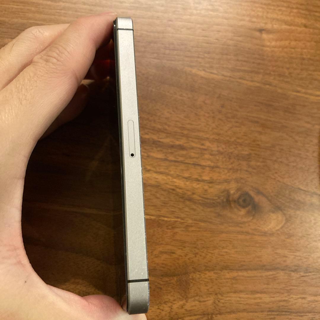 Apple iPhone SE シルバー 第一世代　64GB