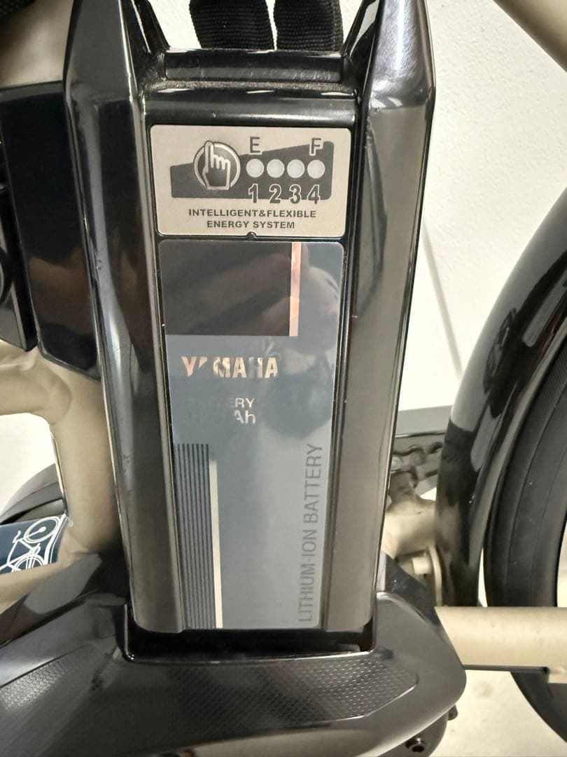 PAS CITY X 電動アシスト自転車