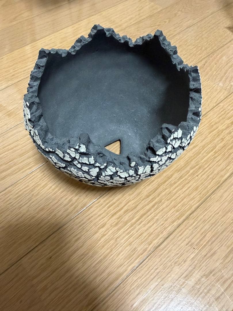 Konect fang white Mサイズ 未使用