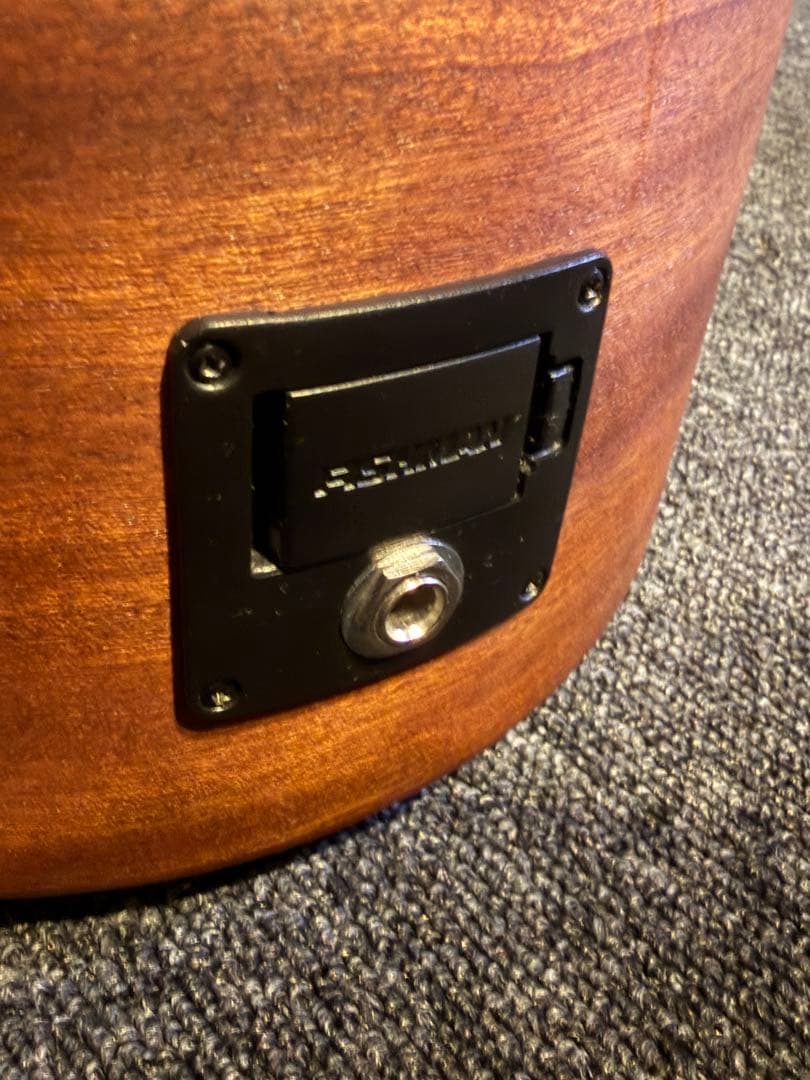 Martin エレアコ Dreadnought Junior DJR-10E