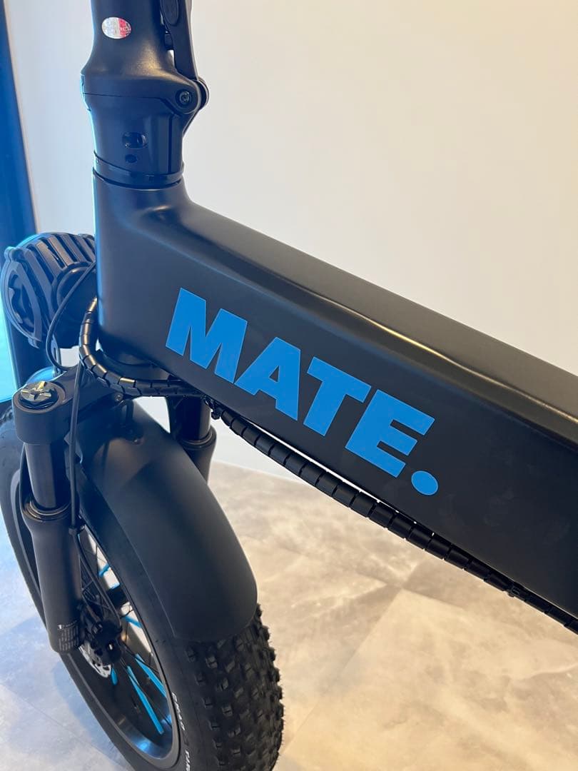 MATE X Evo ブラック ほぼ新品　カスタムあり