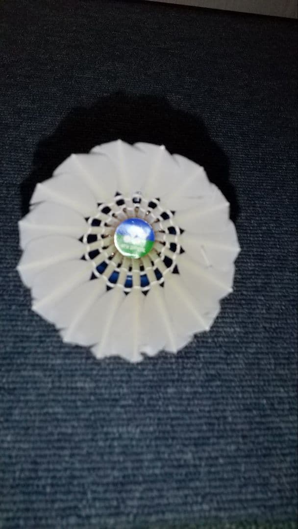 ノック用 シャトル YONEX ニューオフィシャル 1ダース×10