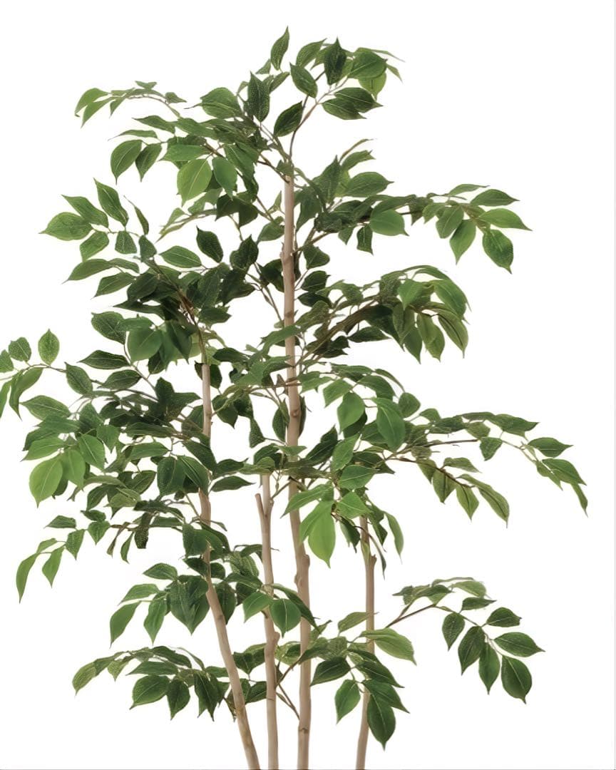 光触媒　人工観葉植物　ウォールグリーン　マウンテンアッシュ1.3m