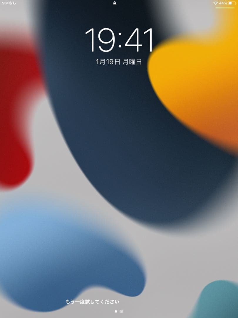 iPad mini 第４世代128GB 10.2インチ スペースグレー