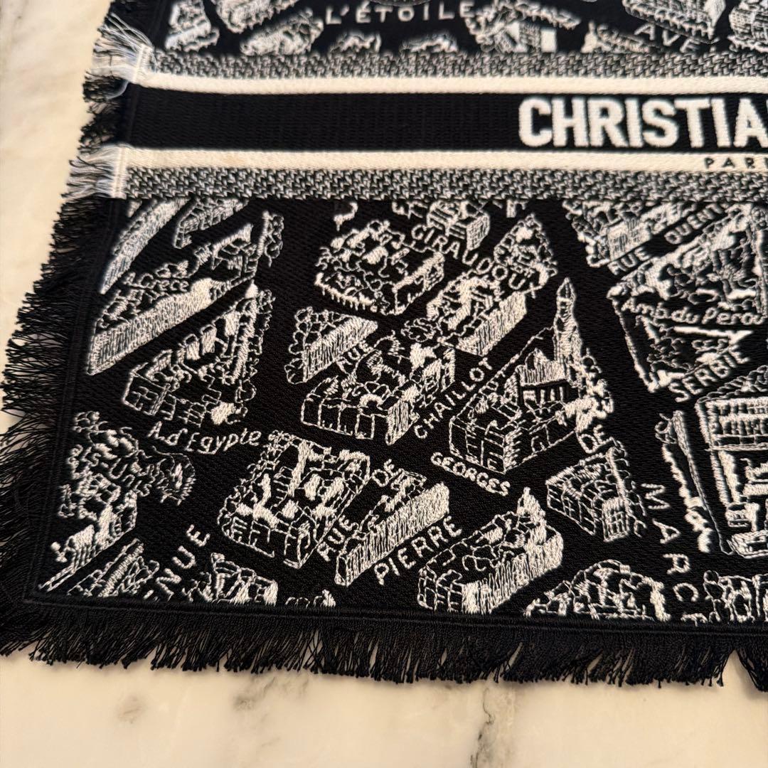 Christian Dior パリ地図 ランチョンマット