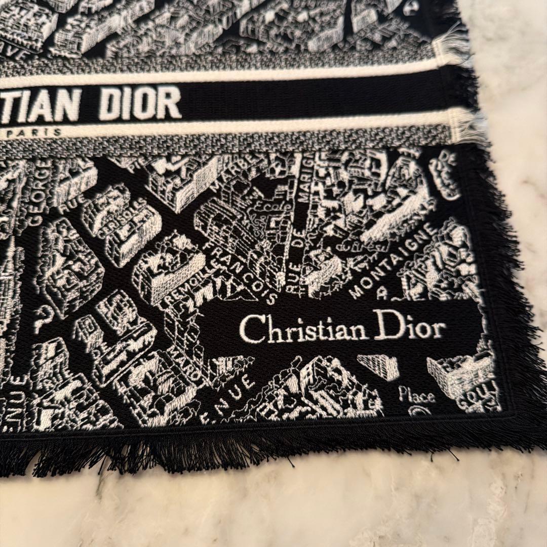 Christian Dior パリ地図 ランチョンマット