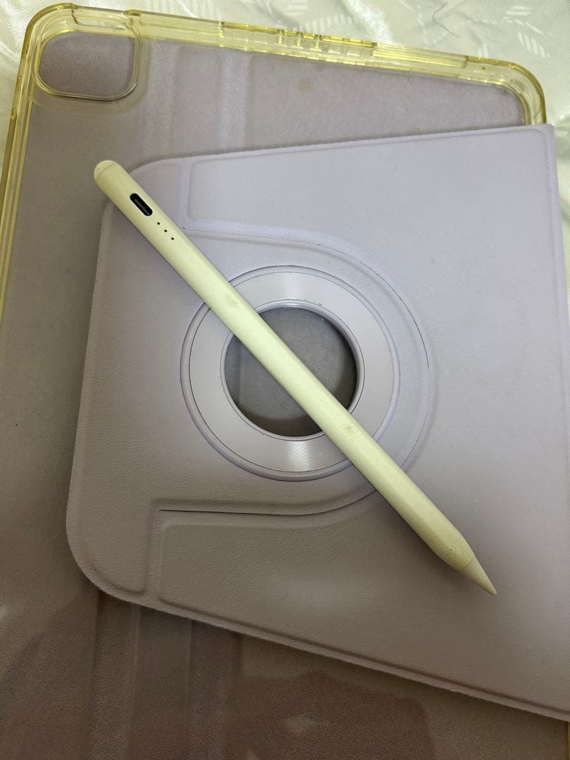 早い者勝ち　iPad Pro 第二世代 11inch 128gb