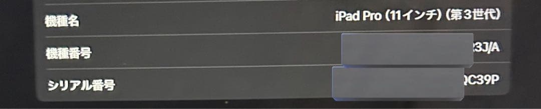 iPad Pro第3世代 ケース付き