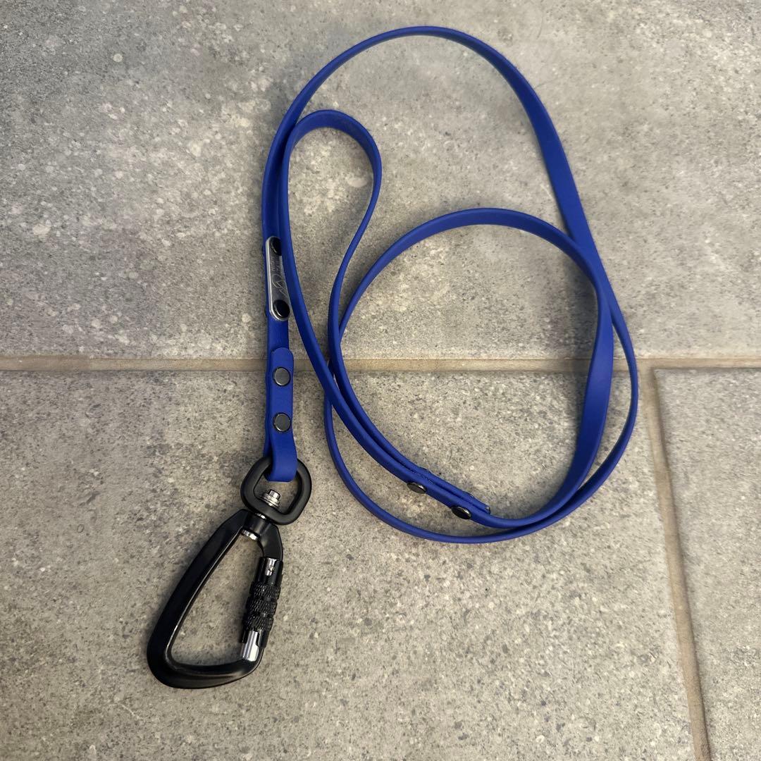 リード3点（赤、青、オレンジ）、TORACリード1点