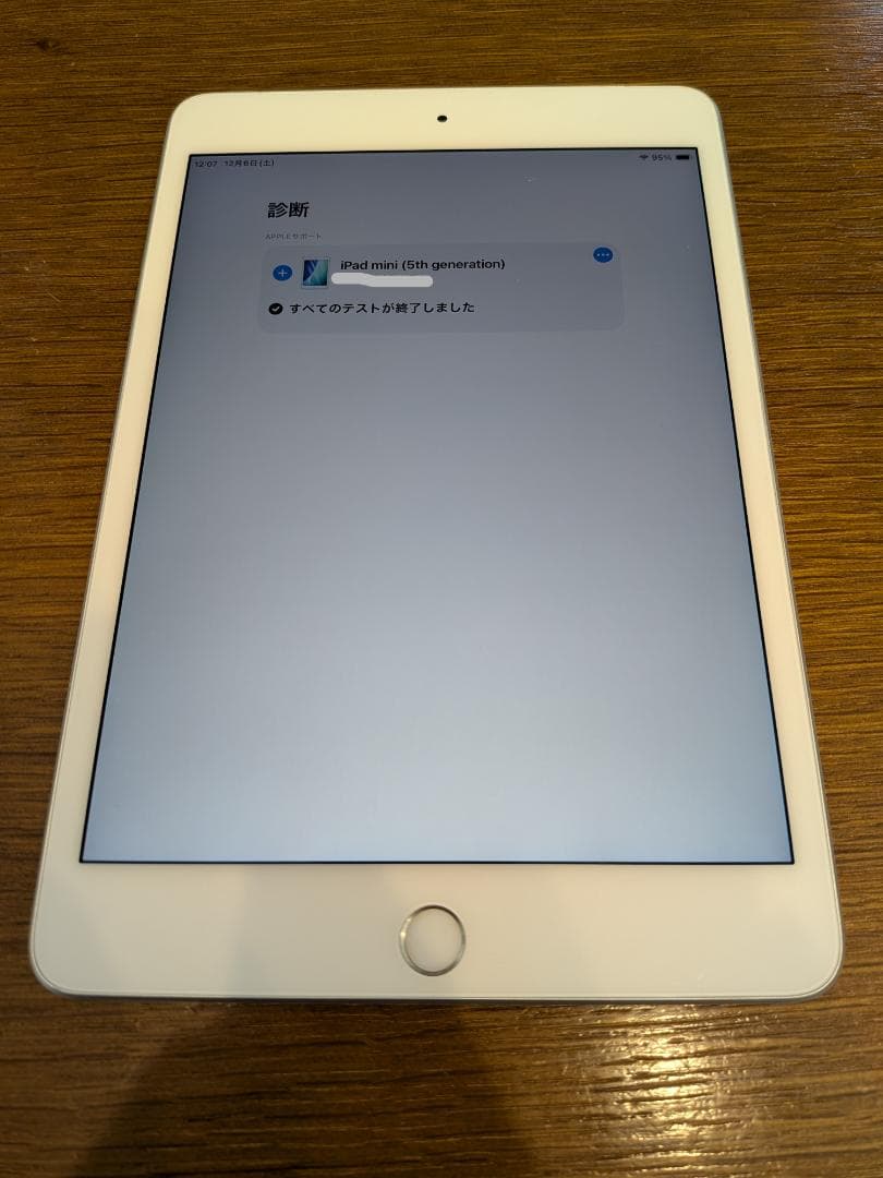 iPad mini 第5世代 Wi-Fi+Cellular 256GB