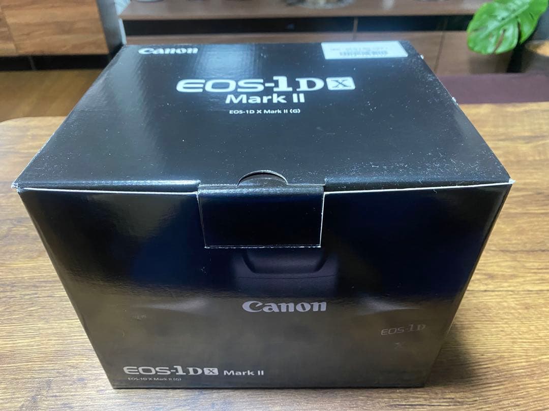 けやん　Canon EOS-1DX Mark II デジタル一眼レフカメラ
