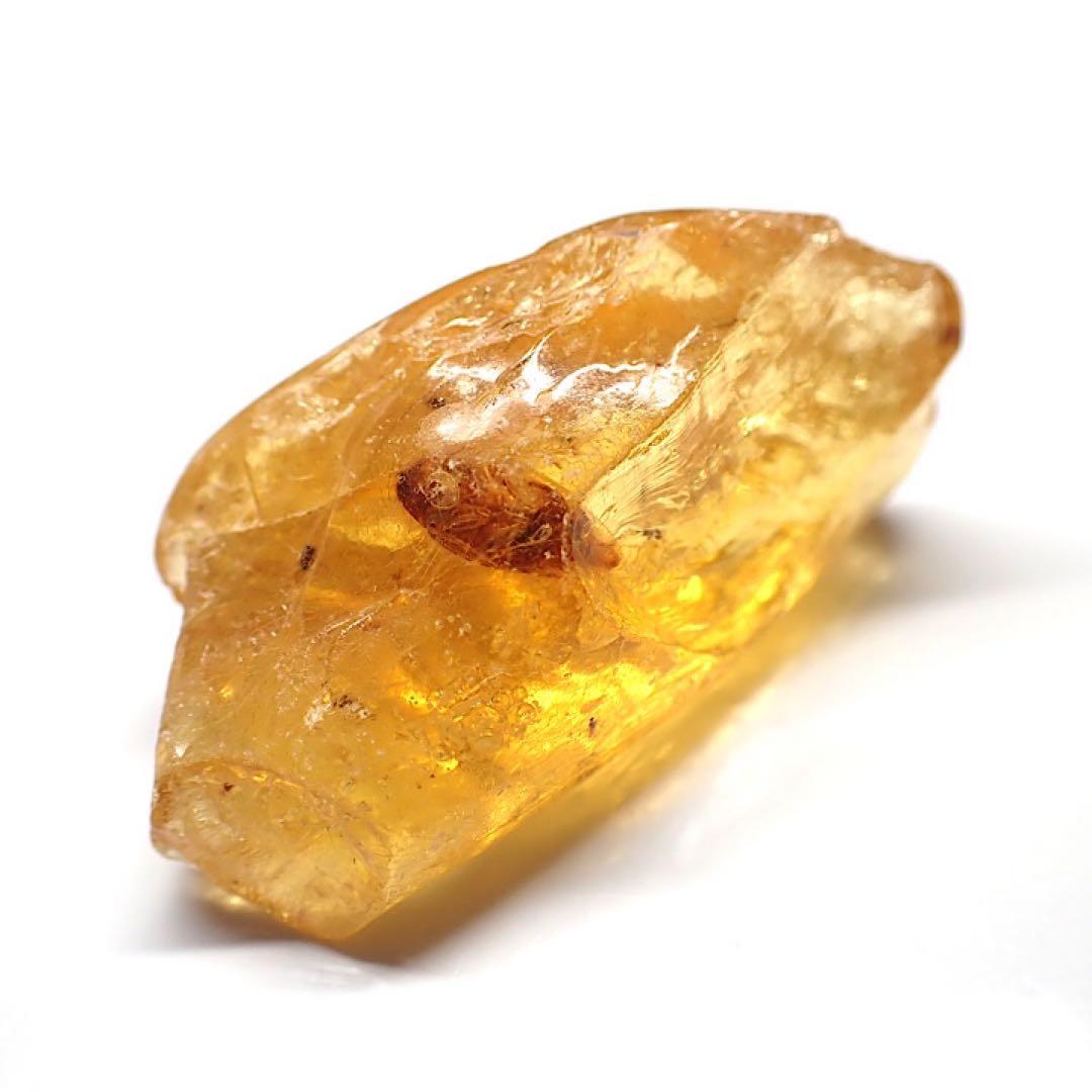 【オーストラリア産】ゴキブリ入り！天然琥珀(アンバー)