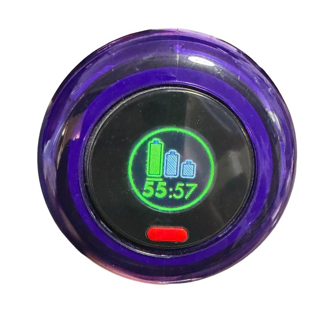 Dyson SV18 V11系 直販限定モデル フロアドック付き