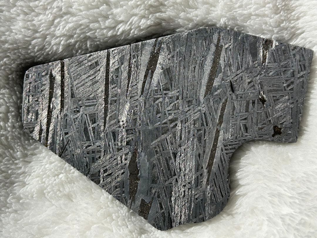 天然アルタイ鉄隕石、702g、完璧にエッチングされたフュージョンクラスト